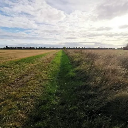 בית נופש 8 Person In Dannemare-by Traum Dannemare