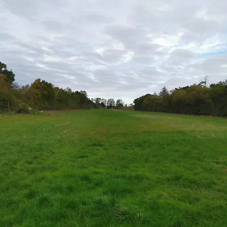 8 Person In Dannemare-by Traum Dannemare