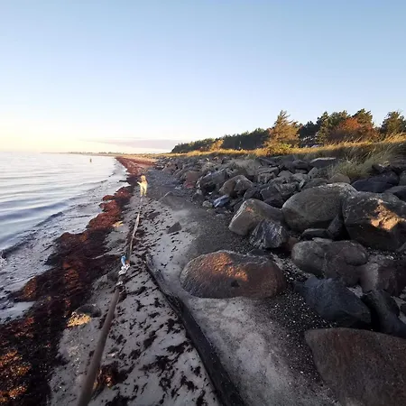 בית נופש 8 Person In Dannemare-by Traum *