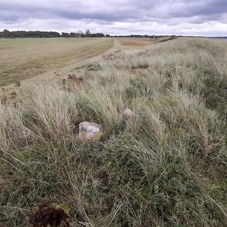 בית נופש 8 Person In Dannemare-by Traum *