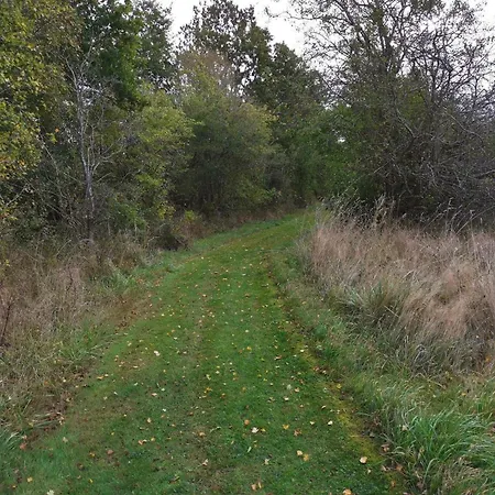 8 Person In Dannemare-by Traum *