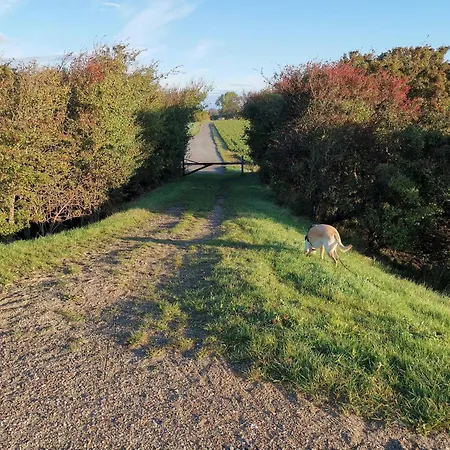 8 Person In Dannemare-by Traum *