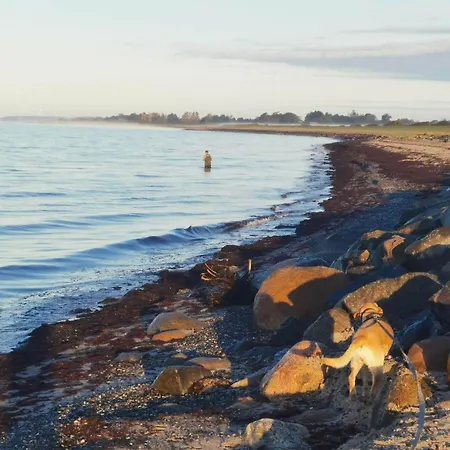 בית נופש 8 Person In Dannemare-by Traum Dannemare