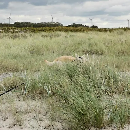 8 Person In Dannemare-by Traum Dannemare